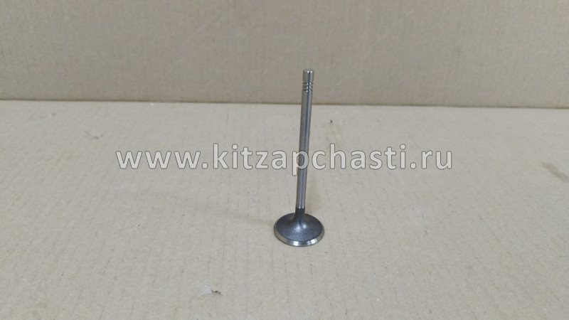 Клапан впускной JAC T6 1003202GD190