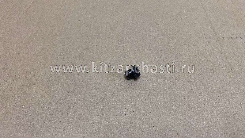 Пробка сливная HAVAL F7x 2pect 1009304XEC06