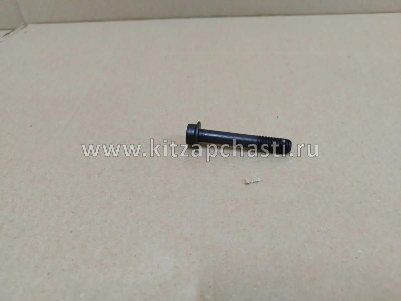 Болт крепежный VVT HAVAL Wingle 7  1021011XEC01