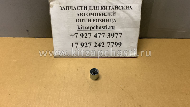Ролик обводной Great Wall Poer 1021701XED61