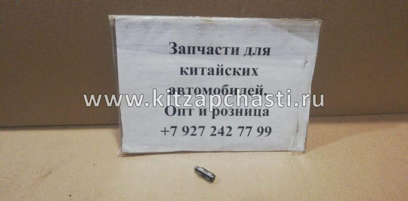 Толкатель клапана гидравлический  Jetour X50 481H1007040AB