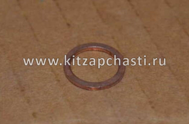 Кольцо уплотнительное EXEED LХ FL 484J1118027