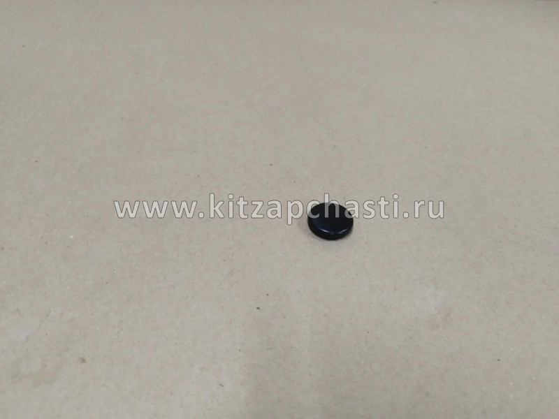 Заглушка рычага стеклоочистителя переднего  Jetour X70 Plus F01-5205171
